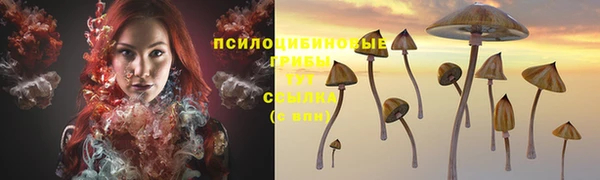 тгк Горно-Алтайск