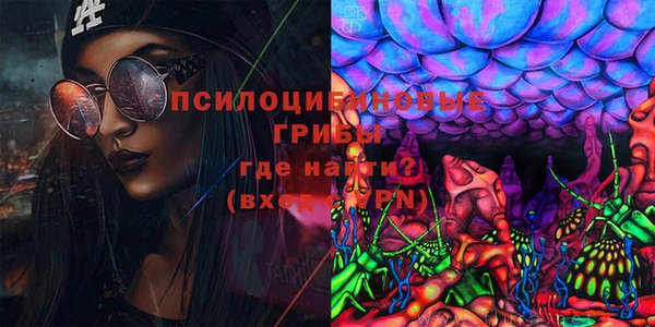 тгк Горно-Алтайск