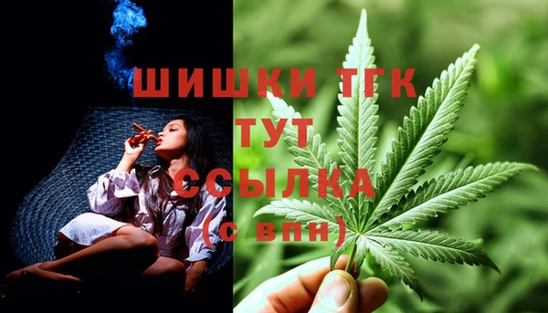 тгк Горно-Алтайск