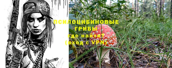 PSILOCYBIN Вяземский