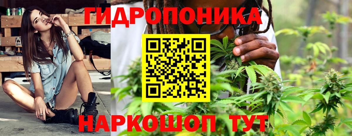 Гуково  Каннабис тримм  Вход с VPN  Шишки марихуана сатива  Каннабис VHQ 